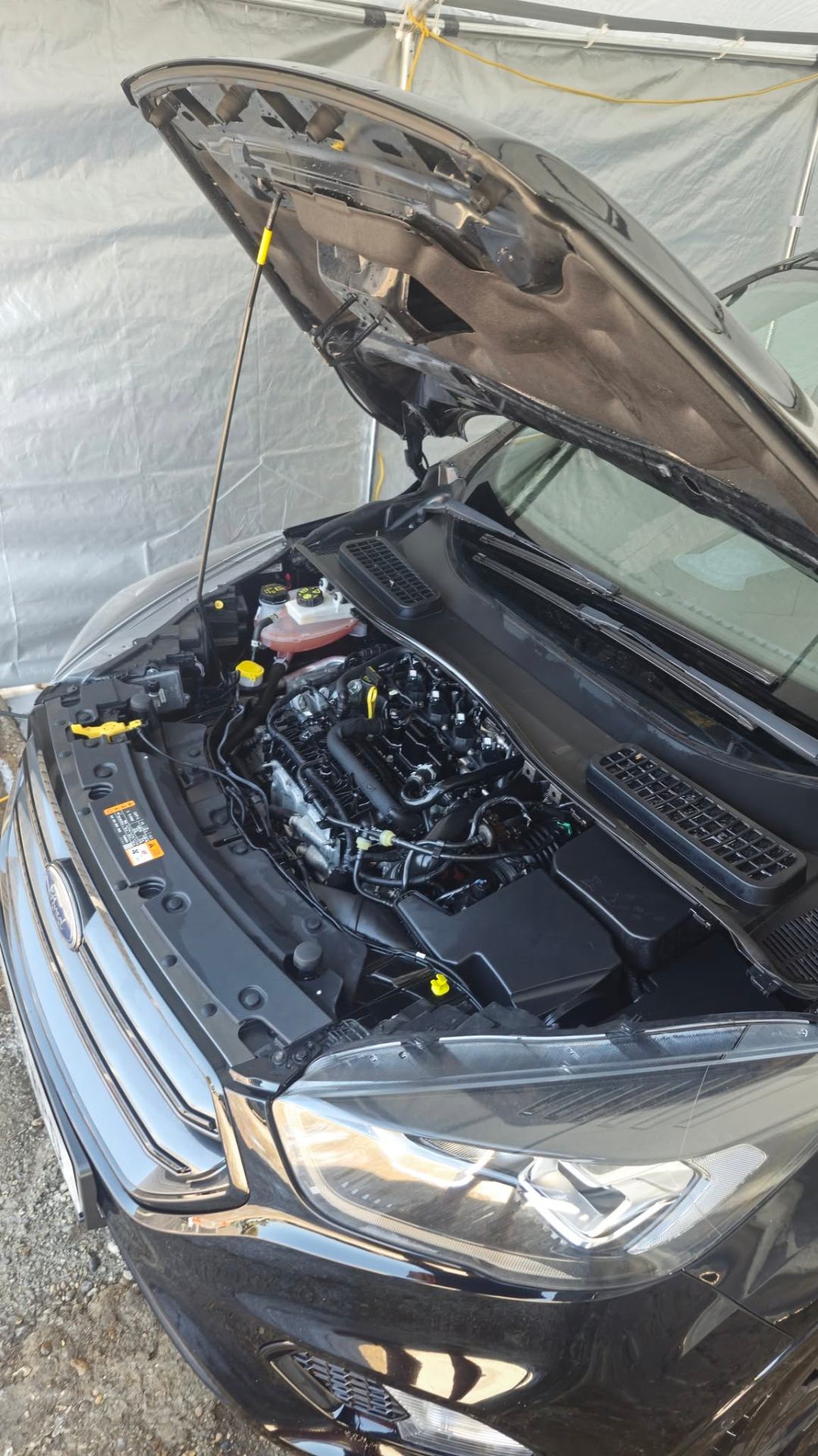 Detailed engine bay of a black Ford SUV cleaned in the Tailored Detail studio